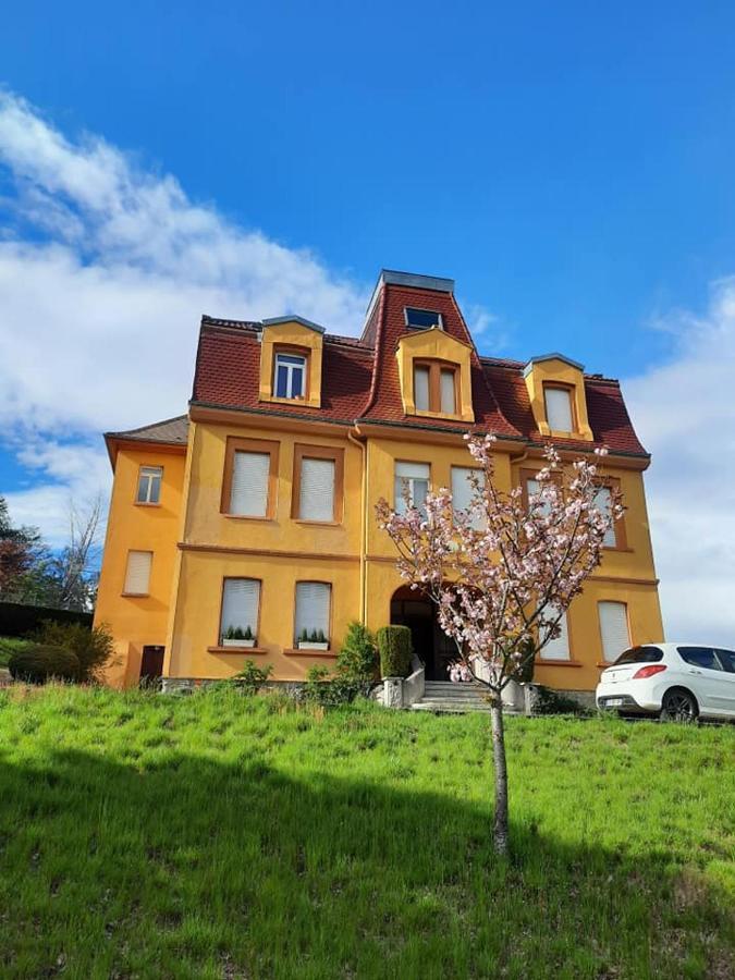 Studio Soleil Au Hohwald Exterior foto